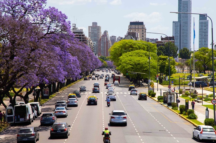 JACARANDAS